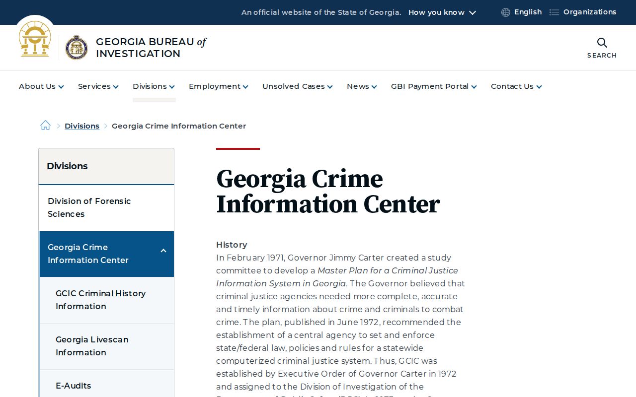 Georgia Crime Information Center criminal history programs